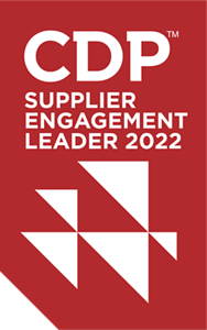 CDP SER 2022 Stamp
